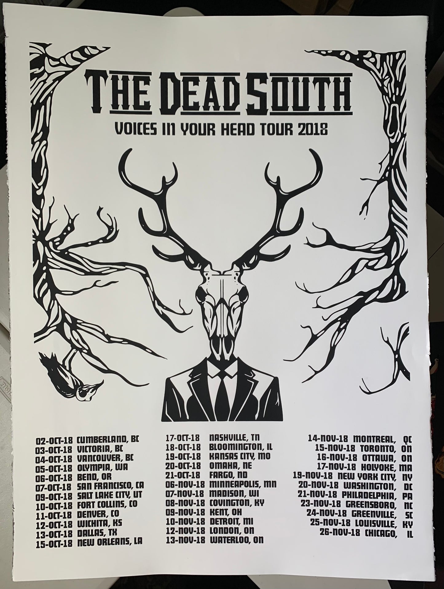 Voices In Your Head Tour 2018 Poster