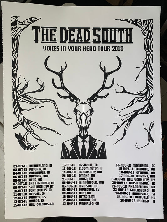 Voices In Your Head Tour 2018 Poster